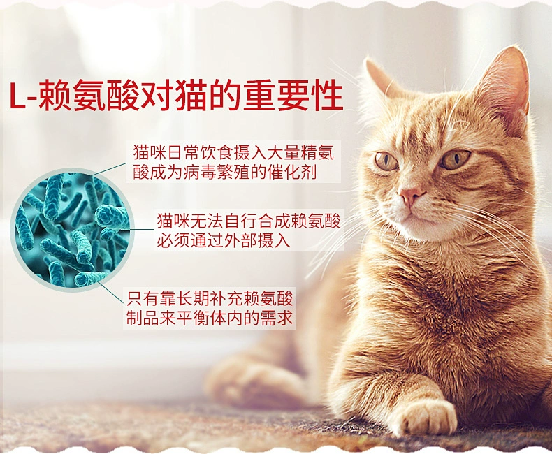 Mèo lysine mèo với hộp đỏ catamine mèo mũi mèo mèo mèo amoniac bột mèo mèo taurine đặc biệt - Cat / Dog Health bổ sung