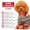Giải phóng mặt bằng quần áo thú cưng quần áo chó mèo Teddy Golden Retriever chó con quần áo thú cưng mèo quần áo chó - Quần áo & phụ kiện thú cưng áo cho chó con