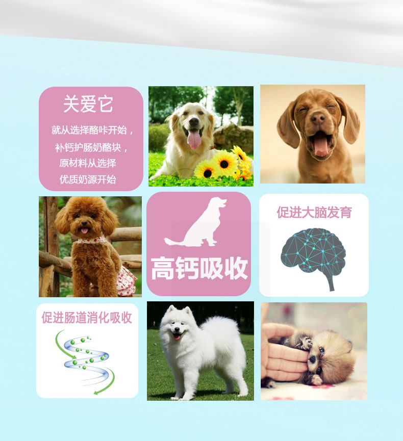 Đồ ăn nhẹ cho chó Sữa chua Mạnhbei đầy đủ phô mai béo bông vàng lông thú cưng đường 舔舔 - Đồ ăn vặt cho chó ganador puppy