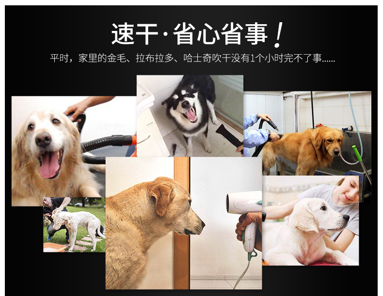 Pet đôi động cơ máy thổi nước chó đặc biệt câm mèo máy sấy tóc công suất cao nhỏ chó lớn thổi tóc nhà - Cat / Dog Beauty & Cleaning Supplies các loại lược chải lông chó	