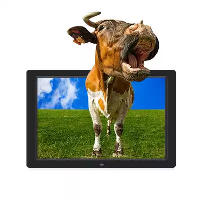 12 inch digital photo frame HD LED widescreen electronic album factory direct national broadcast film