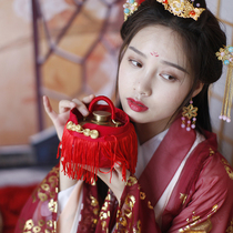 Mrs. Jin Original (Shengshi neon clothes) Tang Po cloth cover retro hand-warming ancient wind hot water bag cloth bag