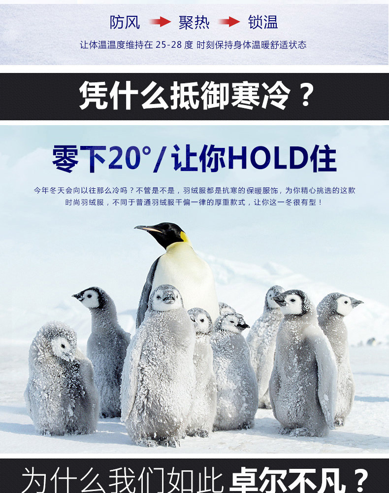 Blouson homme - Ref 3120573 Image 8