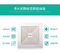 Green Island wind ventilation fan toilet exhaust fan ceiling pipe 12 inch exhaust fan BPT10-22-CH