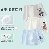 [Tenlisai Bacterioplasier Внутреннее снаряжение] 0575 3 плоские углы