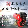 170F Small cultivator head 178F diesel engine 173F water pump polishing machine Diesel engine generator power