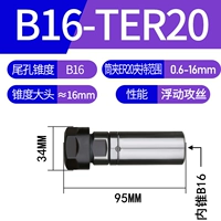 B16-TER20