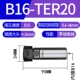B16-TER20
