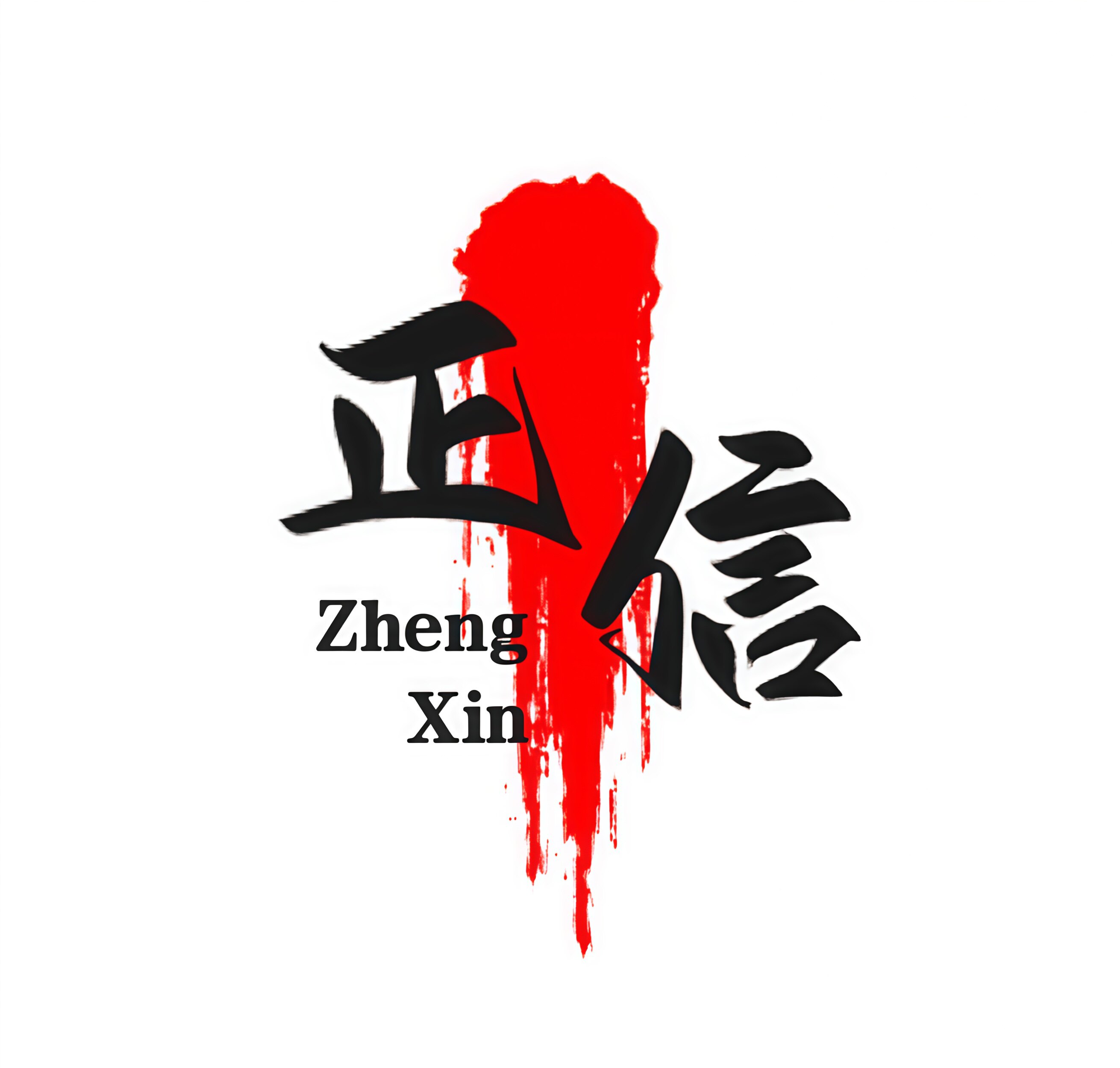 正信电子数码