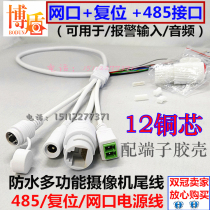 485 reset multi-function waterproof IP camera tail line alarm 485 reset DC 12-core gimbal tail line