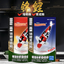 Paulas carp carp feed koi increase fish food koi fish food color growth growth and body floating fish food