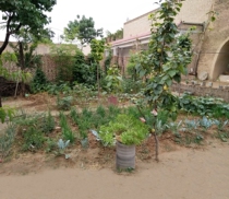 New fast hand shaking anchor shot joke video background cloth rural earth brick old house vegetable garden stereo 277