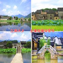 Net red anchor live background cloth Jiangnan Water Township Arch Bridge Lotus Pond landscape shooting joke video 3D stereo photography cloth