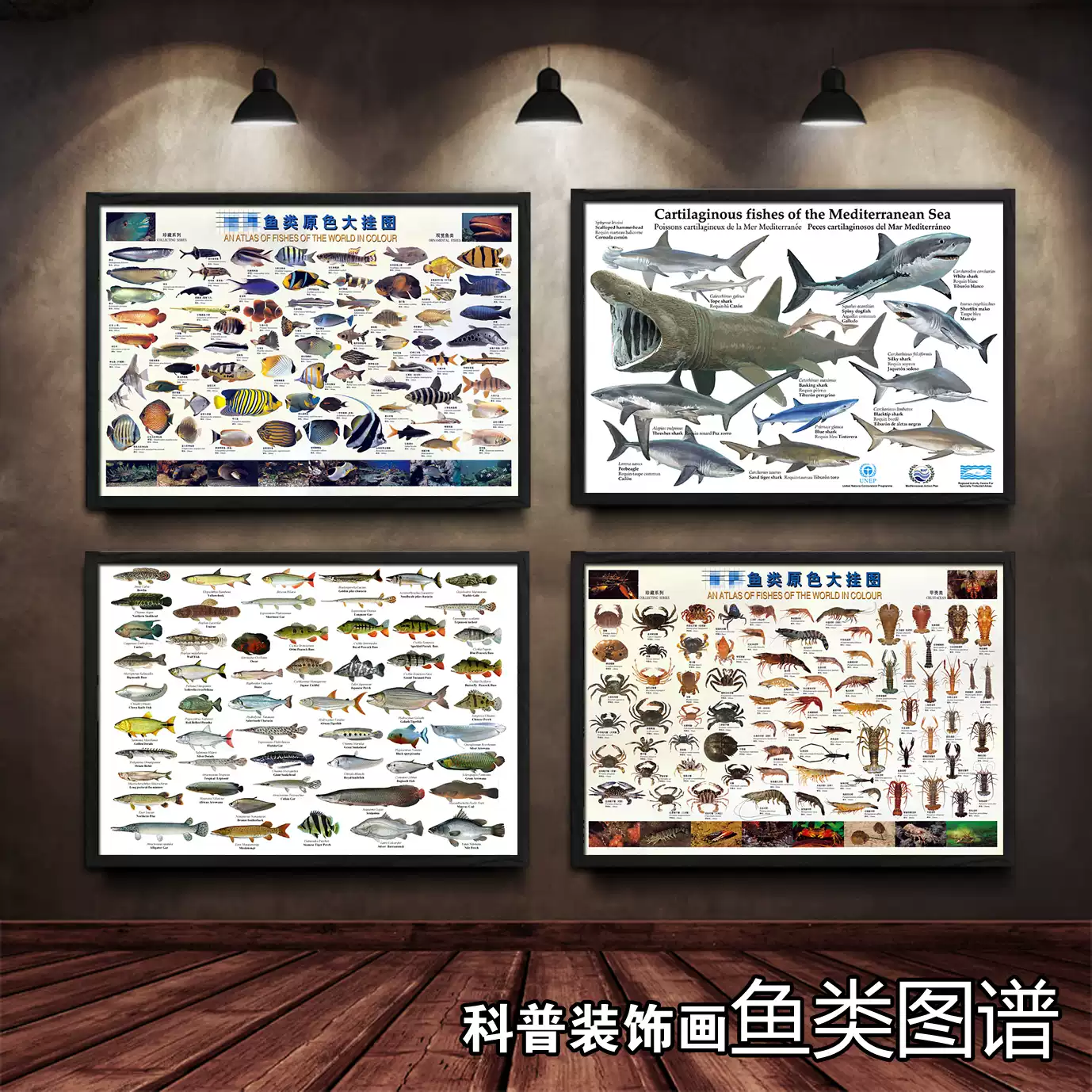 乌克兰城市建筑风景独立广场旅游社学校星辰海报挂墙相框贴画竖1, image size:1378x1378