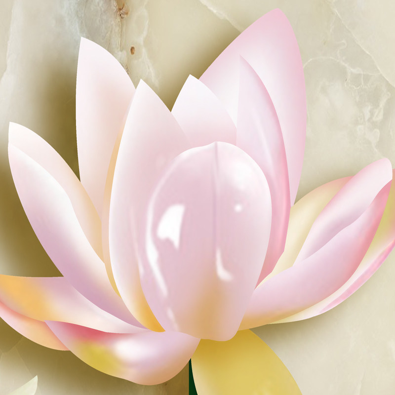 ׿��ɭ��ʽ��שsrv5