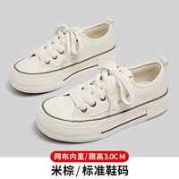 Райс Браун 21995 К