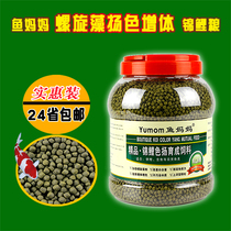 Fish mother Koi granular feed goldfish fish food Fish food color Yang breeding ornamental fish feed 