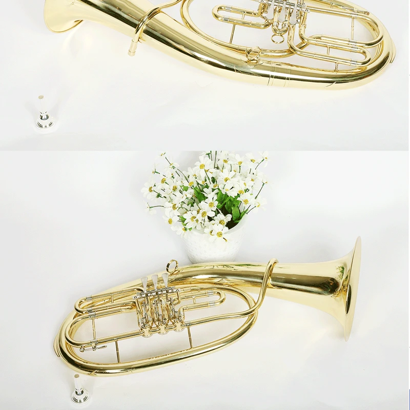 Nhạc cụ Murphyt, Nhạc cụ Euphonium, Ba nút, Phím phẳng, Euphonium, Lớn, Lớn, Tiền mặt, Thanh toán - Nhạc cụ phương Tây đàn guitar fender