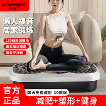 Fat loss machine home use lazy shake machine exercise rhythm machine to slim waist calf and belly fat