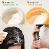 Связанная печать Xiaoyu Gotukola Miracle Dog Голова коала зеленая апельсиновая кожа прически, корень для волос, горячие и рухнутые