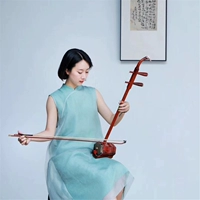 Gỗ chạm khắc erhu xác thực thùy gỗ hồng thủ công trang trí có thể được tùy chỉnh chuyên nghiệp chơi nhạc cụ quốc gia ukulele - Nhạc cụ dân tộc đàn cổ cầm