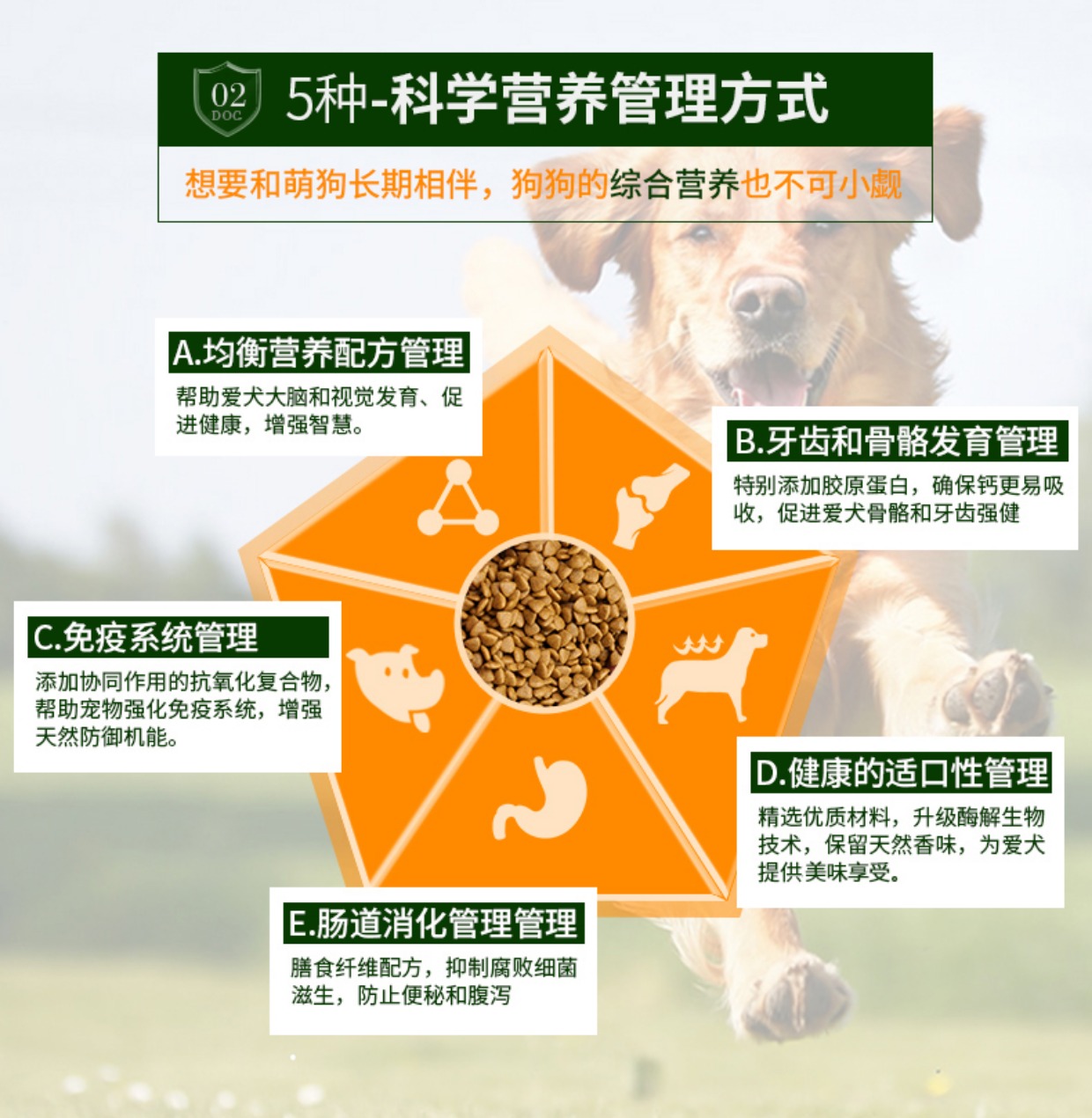 Thức ăn cho chó Đinh lăng nói chung loại 40 kg Chó lớn 20kg Jinmao Labrador Husky Qi Samoyed Teddy chó trưởng thành - Chó Staples thức ăn cho chó pug