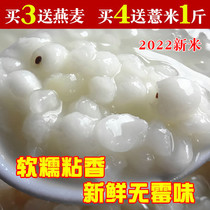 Sister and brother farm store 2022 new goods Ninghua glutinous barley fresh small barley kernel barley rice Italian barley 500g