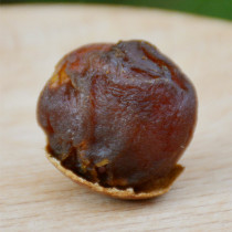 New goods fine pick big head longan dried dried Fujian Putian farmhouse longan 400g farm native products