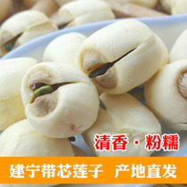 2022 new goods Jianning dry goods with cored lotus seeds with cores handmade white lotus seeds 500g Fujian farmhouse fresh and hearty