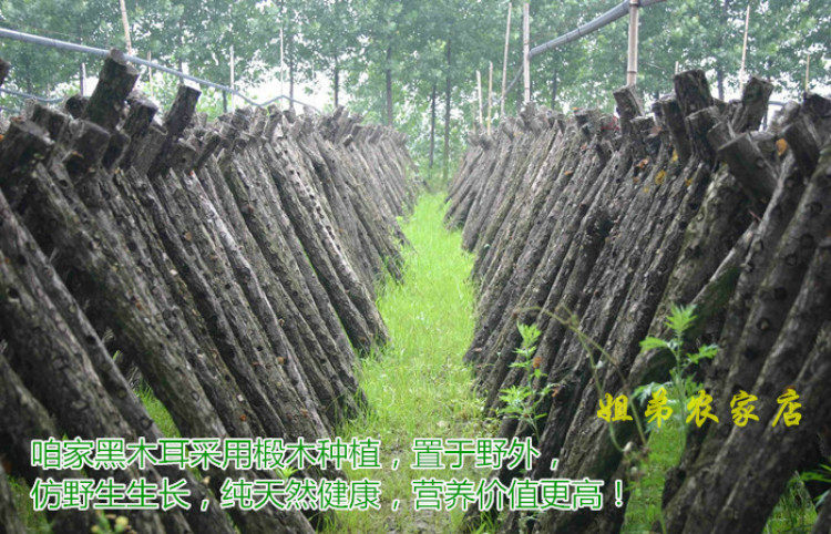 Старый магазин 2_dexing