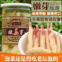 Shu Dai Yan Tan Bud Ginger Bud 650g Bottled Old Tan Chen Zi Jiang Bud Canned Sichuan Kimchi Sour Ginger Bamboo Root Ginger