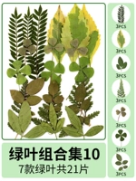 Комбинация зеленых листьев 10 21 таблетки