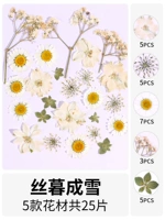 Шелковистый снег сухой 25 кусочков сухого цветочного мешка