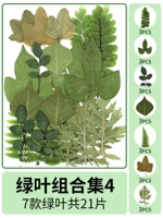 Комбинация зеленого листа 4 21 таблетки