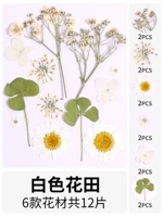 Белое цветочное поле, сухое, 12 кусочков сухих цветочных мешков