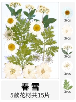 Весной снег сухой 15 кусочков сухого цветочного мешка