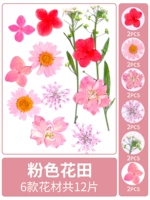 Розовое цветочное поле, сухое, 12 кусочков сухого цветочного мешка