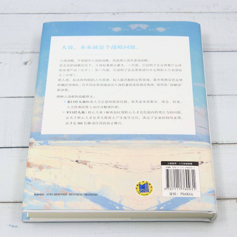 人效战略:如何让你的团队效率翻倍?揭秘高效管理的秘密武器!-人力资源-淘宝好物网