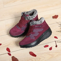 8196 Jujube Red