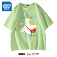 Фруктовые зеленые (Z Bag Goose)