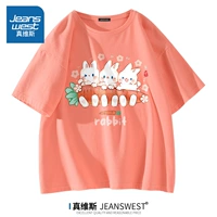 Оранжевый вентилятор (Z Rabbit Elf)