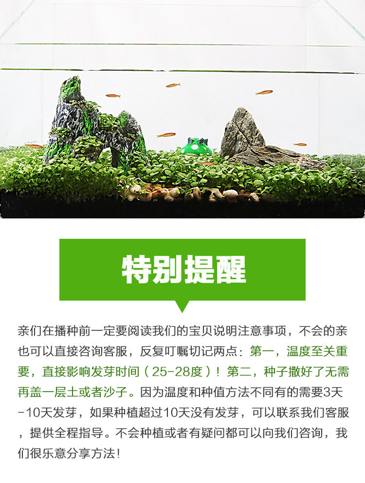 Семена водяной дороги_16