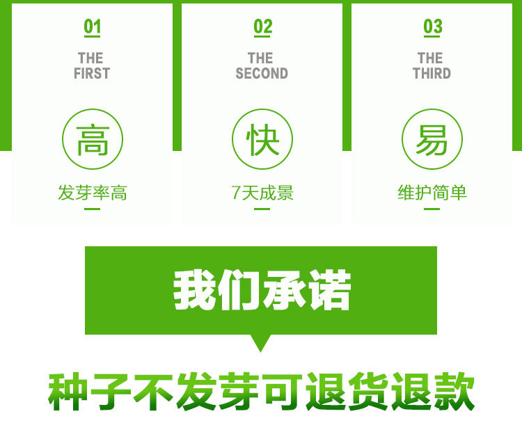 Водяная трава семя_03