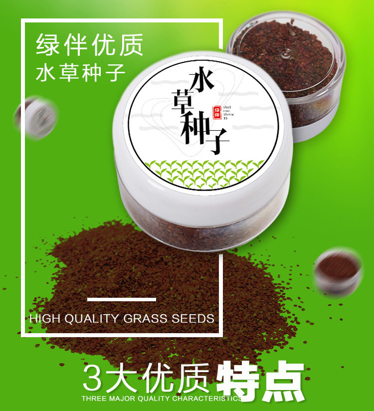 Водяная трава семя_02