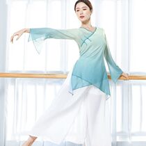 Classical dance monochrome dance gradient practice clothing gauze art test performance National Chinese charm elegant horn sleeves