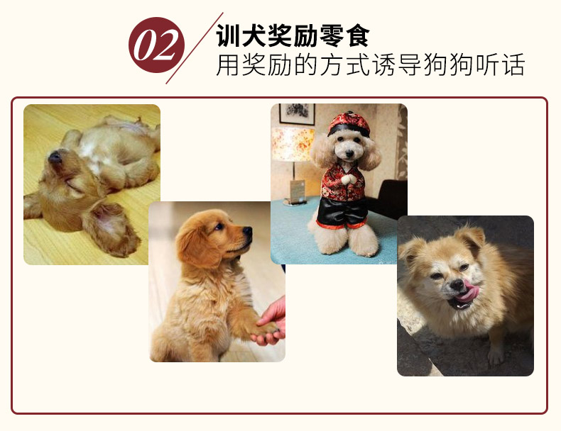Dog Đồ Ăn Nhẹ Pet Đồ Ăn Nhẹ Gói Quà Tặng Teddy Vàng Tóc Thịt Bò Khô Cắn Cao Su Mol Dog Dog Đào Tạo bánh thưởng cho chó poodle