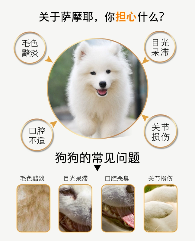 Thức ăn cho chó Samoyed 10 kg tuyệt vời chó lớn lông trắng samoyed thức ăn cho chó con chó sữa bánh thực phẩm tự nhiên đặc biệt 5kg - Chó Staples pate cho chó con