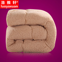 Thickened Warm Quilt quilt core winter quilted by lamb suede Winter Student Dormitory Winter Single Double Spring Autumn Cotton Bedding