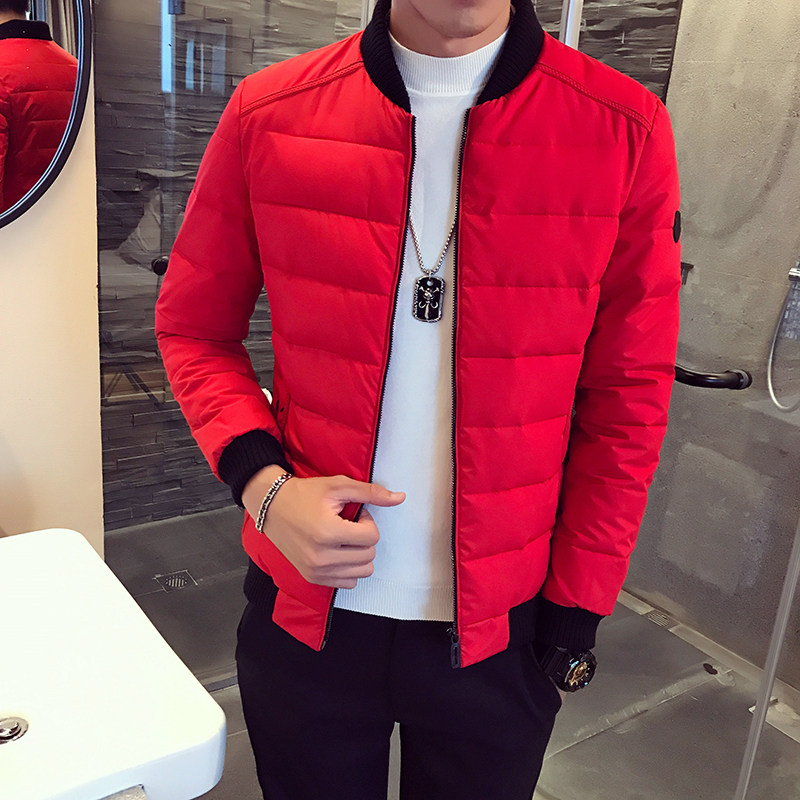 Blouson hiver pour homme   OTHER - Ref 3112047 Image 1