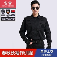 Весна и осенний топ+логотип